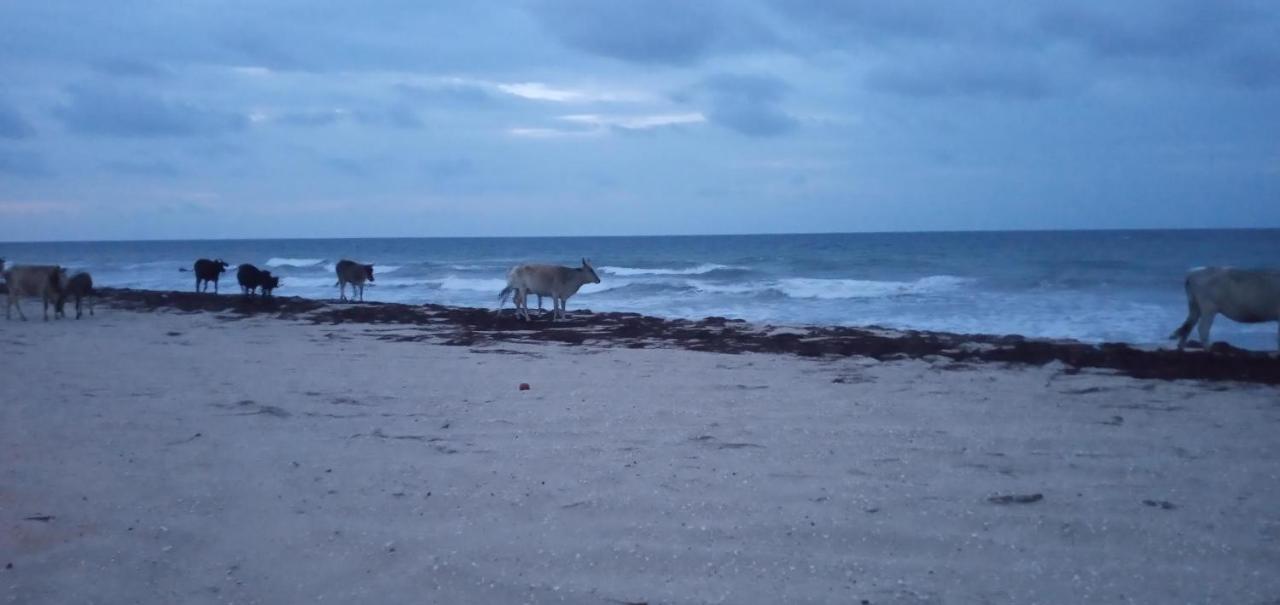 Hotel Portadosoljeri Jijoca de Jericoacoara Esterno foto
