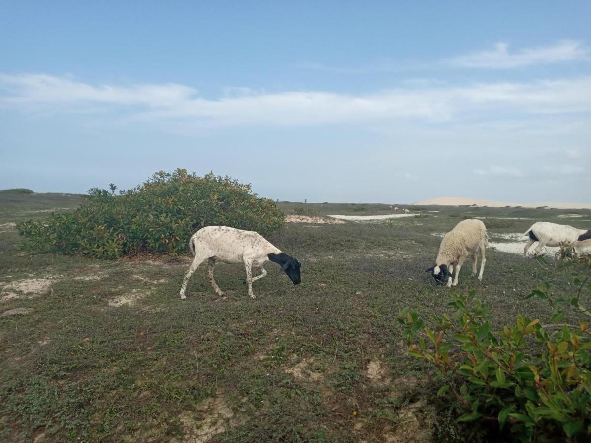Hotel Portadosoljeri Jijoca de Jericoacoara Esterno foto